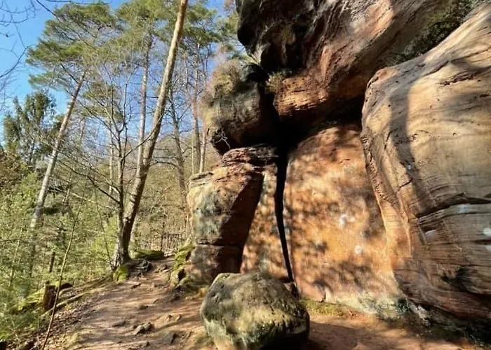 Lägenhet Neu! Milo Pfaelzer Wald